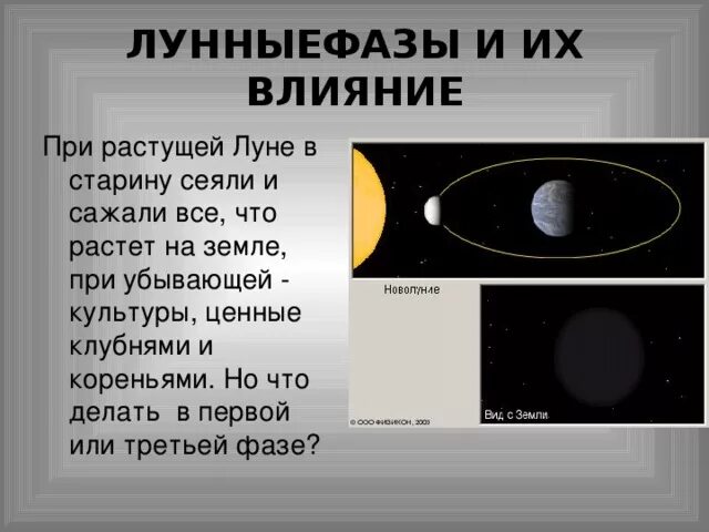 Сеять на убывающую луну. При растущей луне. что можно делать на растущую луну. что можно делать на убывающую луну. что делать при убывающей луне.