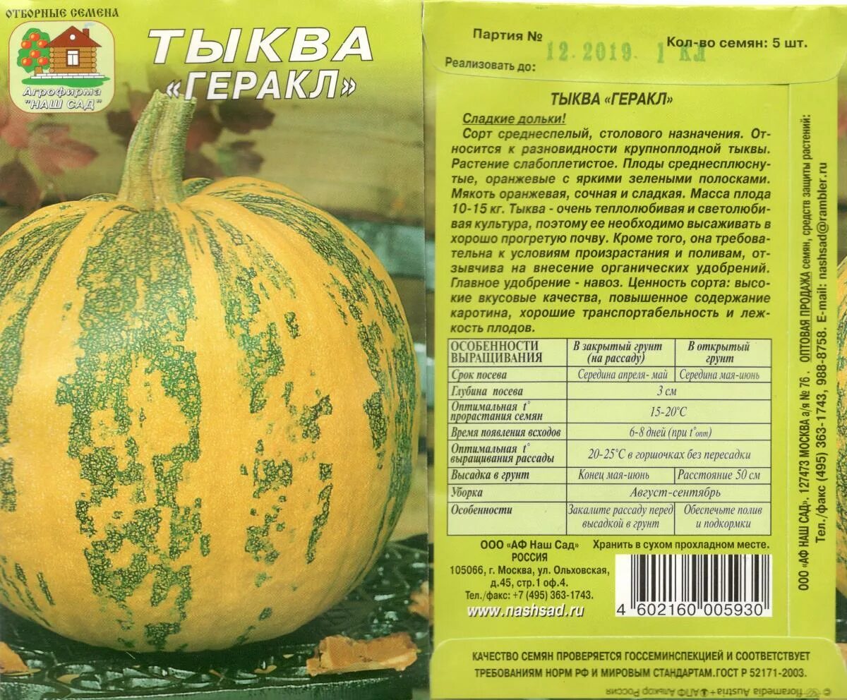 Тыква витаминная описание отзывы. Тыква мускатная медовая. тыква мускатная витаминная описание. тыква мускатная сорт витаминная. тыква мускатная мускатная.