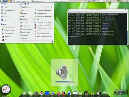 Linux mint оболочки