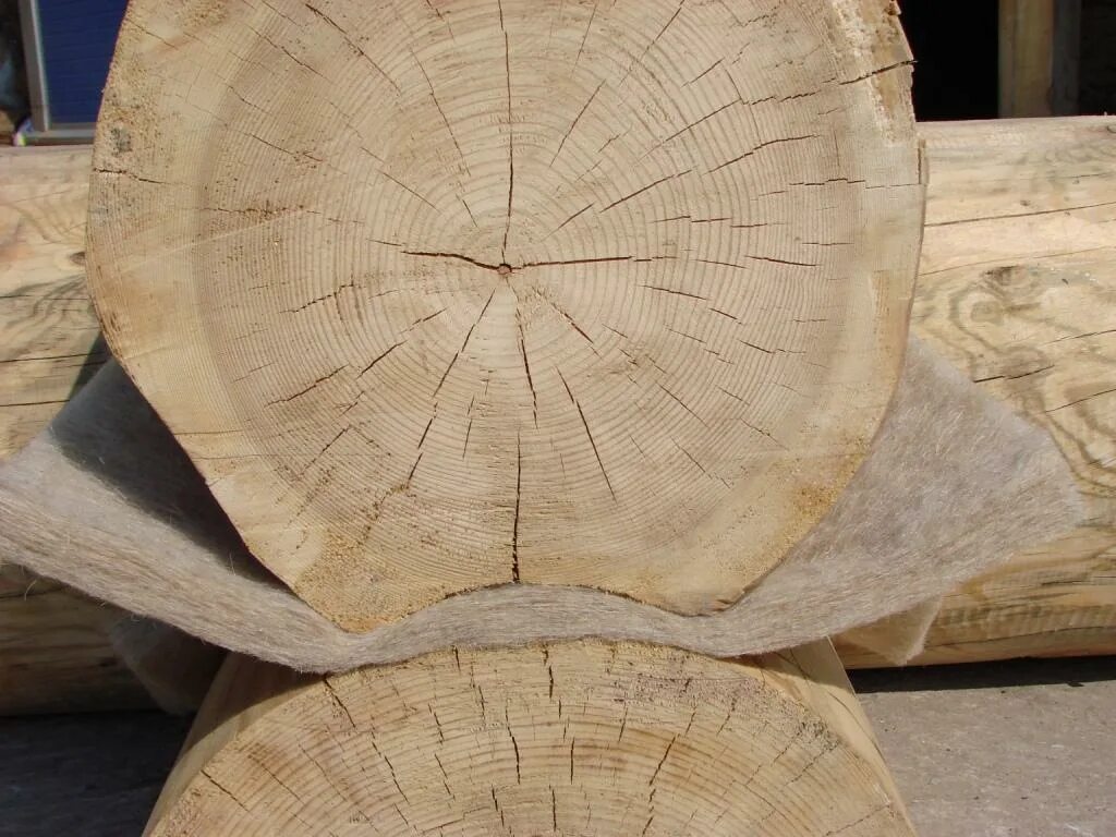 Log inside