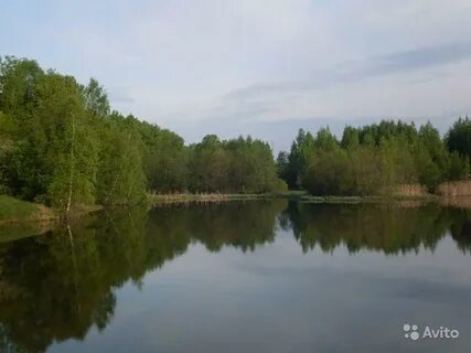 Прудцы дмитровский