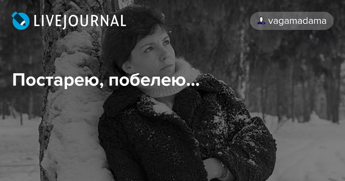 Постарела побелела как земля зимой