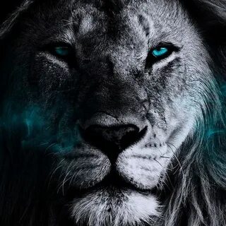 Top profile