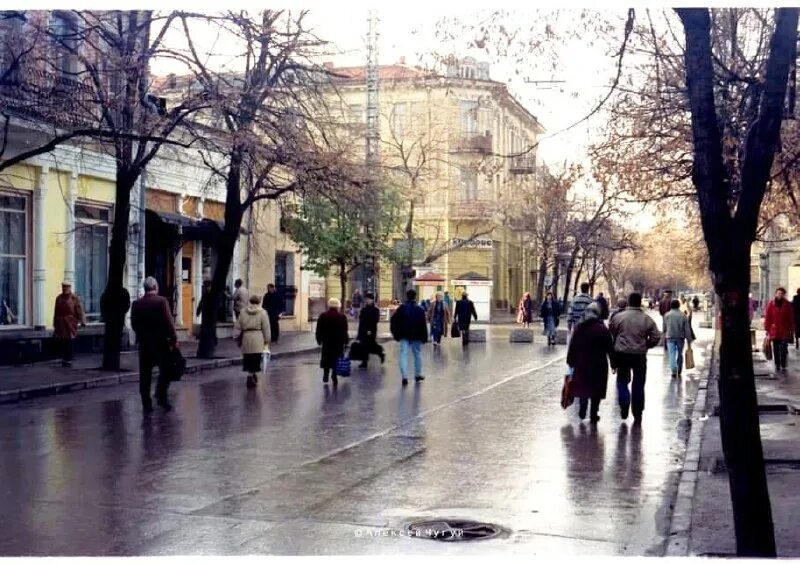 улица долгоруковская симферополь. ботсад кфу симферополь. типичный симферополь. типичный симферополь. ул.