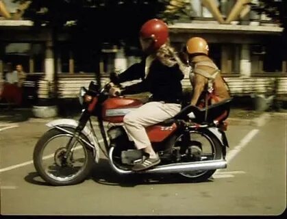 Java movie