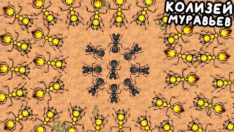 Pocket ants симулятор