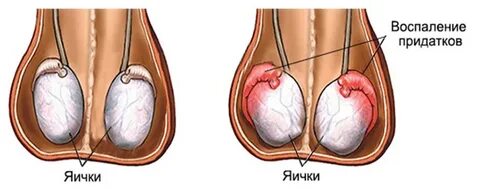 U uning emchaklarini yalaydi