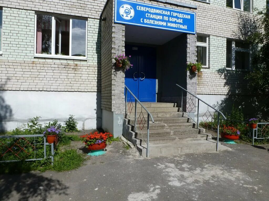 Труда 49 северодвинск. Помощь другу северодвинск ветеринарная. Юбилейная 21 северодвинск ветеринарка. Новая 1а северодвинск. Полярная 30а северодвинск.