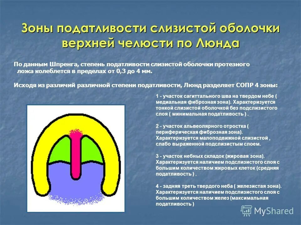 Зона податливости слизистой оболочки. Податливость слизистой оболочки Люнда. Классификация слизистой оболочки по Люнду. Топография податливости слизистой оболочки по Люнду.. Податливость слизистой оболочки Суппле.