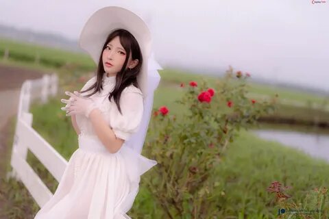 Fantasy Factory - 小 丁 (Xiao Ding) - Sunflower.