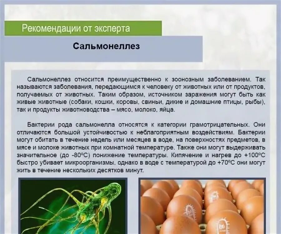 Сальмонелла в перепелиных