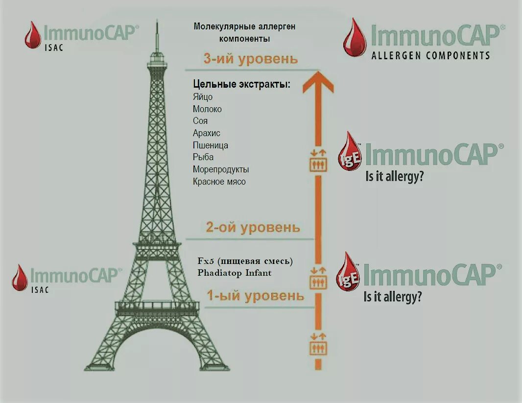 Тест-система иммунокап. Аллергочип immunocap isac 112 компонентов. Аллергочип 112 аллергенов. Immunocap тесты. Аллергочип immunocap результат.