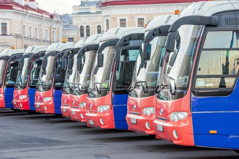 Перевозки автобусы спб. Междугородние автобусы Петербурга. Автобусы трансферы Санкт-Петербург. Трансфер на автобусе СПБ. Бусы СПБ.