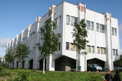 Архангельская библиотека добролюбова. Добролюбовская библиотека архангельск. Библиотека добролюбова архангельск. Архангельская библиотека добролюбова. Библиотека добролюбова архангельск.