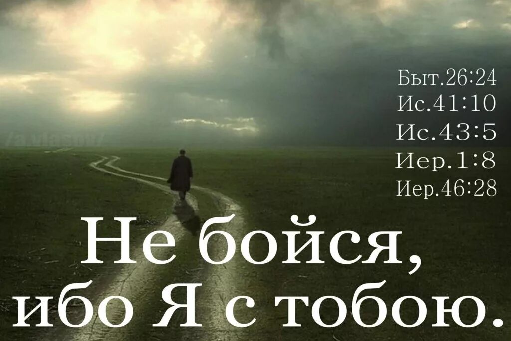 Не бойся я с тобой Бог. Не бойся я с тобой Библия. Цитаты из Библии. Бог с тобой.