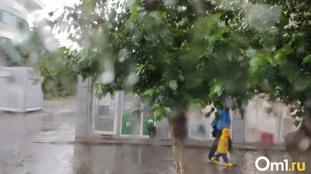 В течение месяца будут дожди