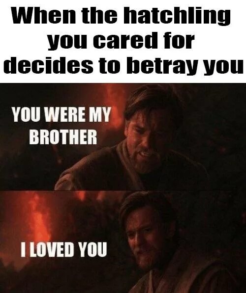 You were my brother Anakin. You were my brother Anakin i Loved you. Be you!. You were like brother.
