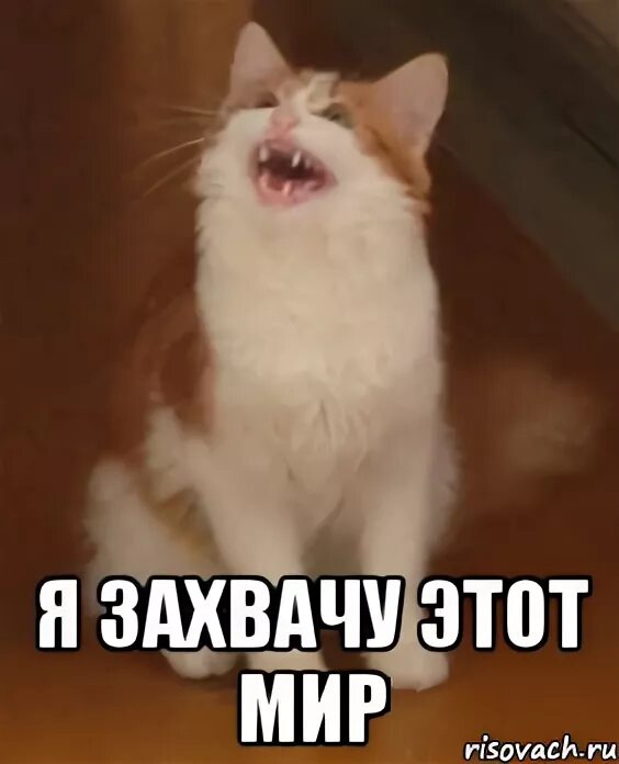 Я захвачу землю. Захвачено мем. Мемы про евреев и немцев. Я захвачу землю. Я захвачу землю.
