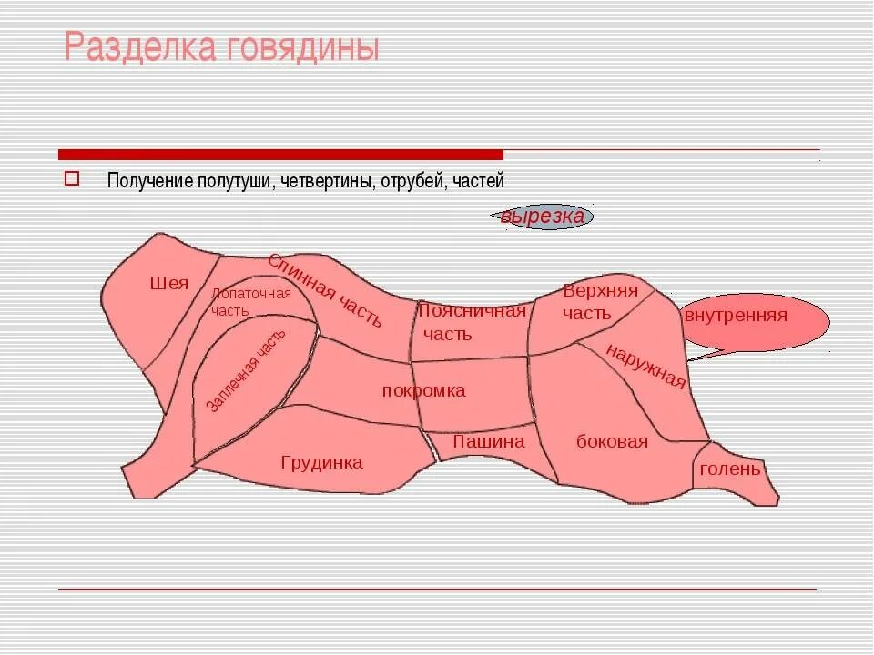 Вырезка части говядины. Мясо баранина схема разруба. Схема разделки говяжьей туши с названиями частей. Схема разделки говяжьей полутуши. Схема разделки туши мяса.