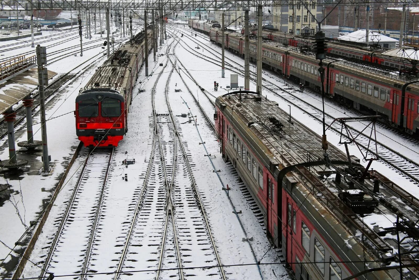 Ржд омск поезд. Поезда сегодня новосибирск. Поезд томск новосибирск. Локомотив поезд. Поезд электричка.