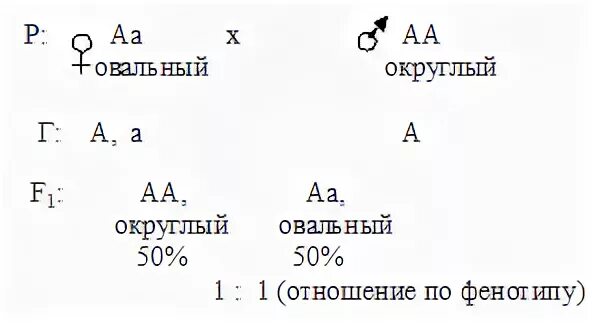 Задачи по генетике доминирование. Задачи по генетике на полное и неполное доминирование. Задачи по генетике с решением по всем типам. Задачи по генетике кролики. Дигетерозиготный хомяк