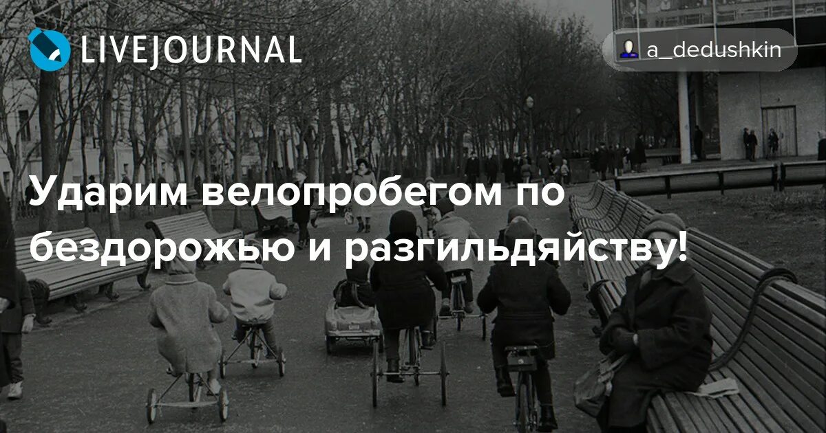 Ударим по бездорожью и разгильдяйству цитата. Ударим велопробегом по бездорожью и разгильдяйству. ударим велопробегом по бездорожью. ударим автопробегом по бездорожью и разгильдяйству цитата. ударим велопробегом по бездорожью и разгильдяйству баннер.