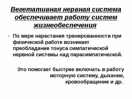 Работа вегетативной системы