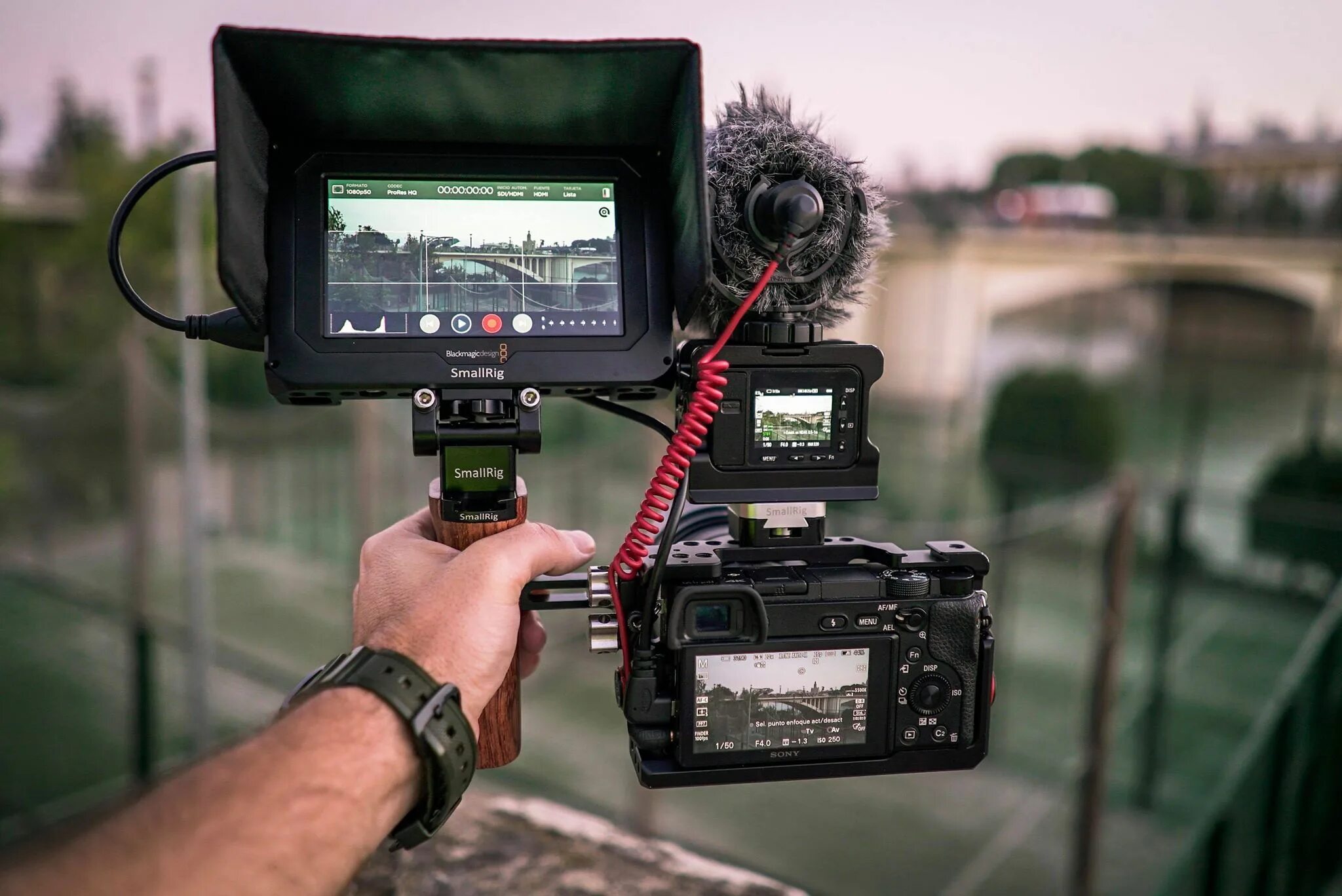 Camera setup. Camera setup