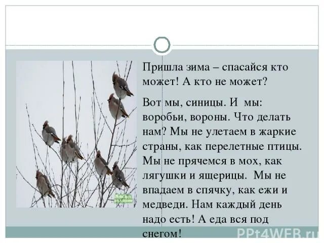 Основная мысль текста каждый знает воробья ворону. Спасайся кто может а кто не может. Пришла зима Спасайся кто может Заголовок к тексту. Спасайся кто может картинки. Н.Сладков пришла зима Спасайся кто может.