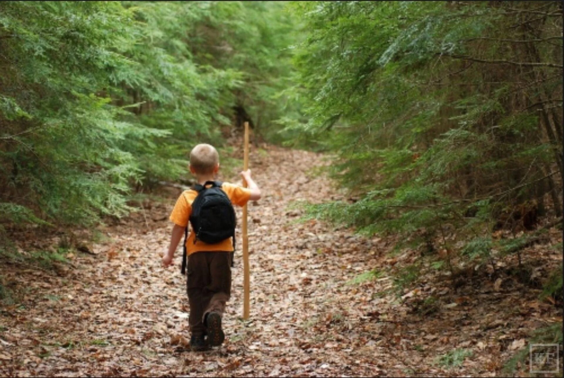Тропа желаний. Мальчик в лесу. Мальчик заблудился в лесу. Ребенок один в лесу. Потерялся в лесу.