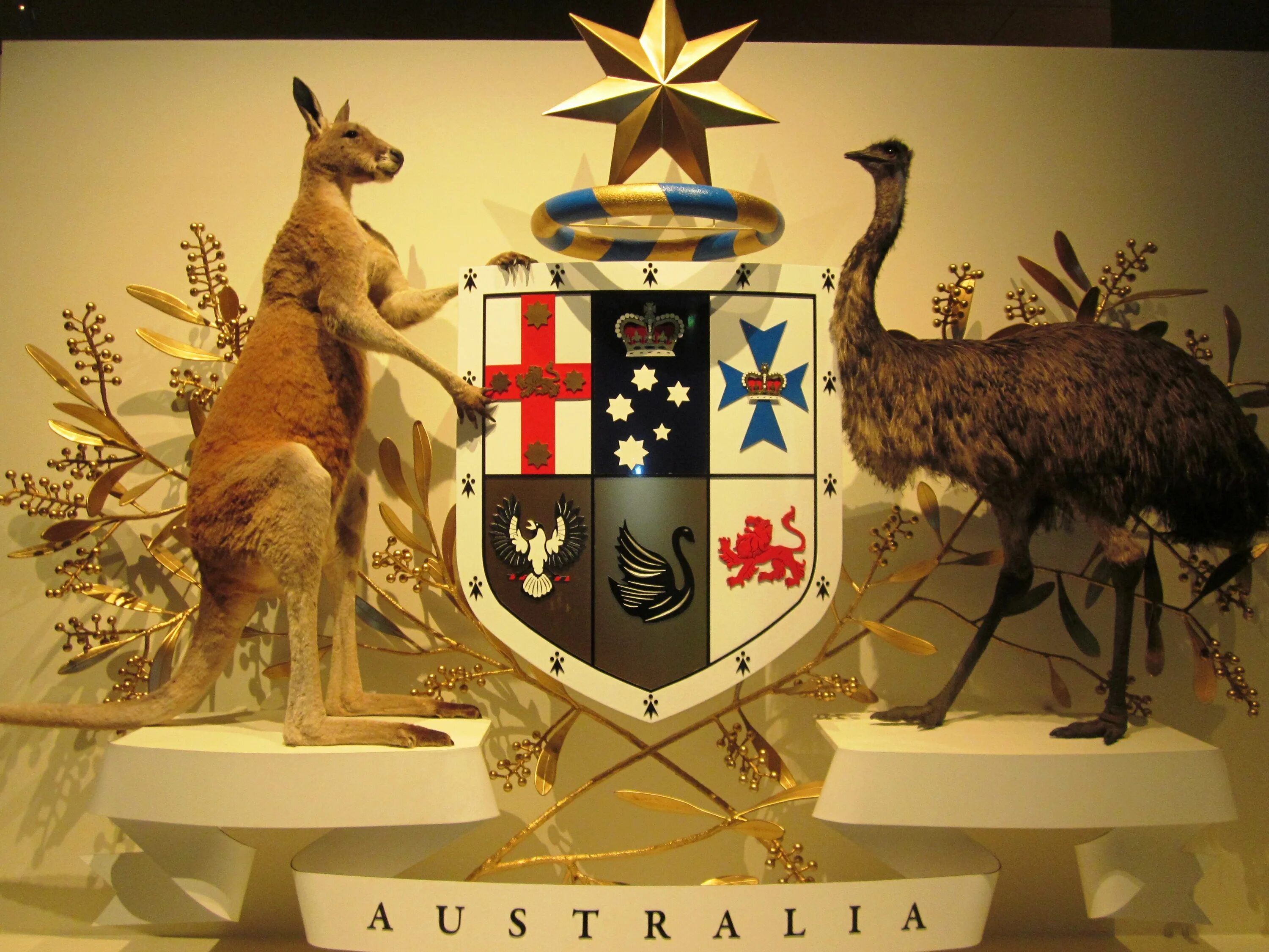 Какой символ австралии. Герб Австралии. Символы Австралии. Герб Южной Австралии. Кенгуру символ Австралии.