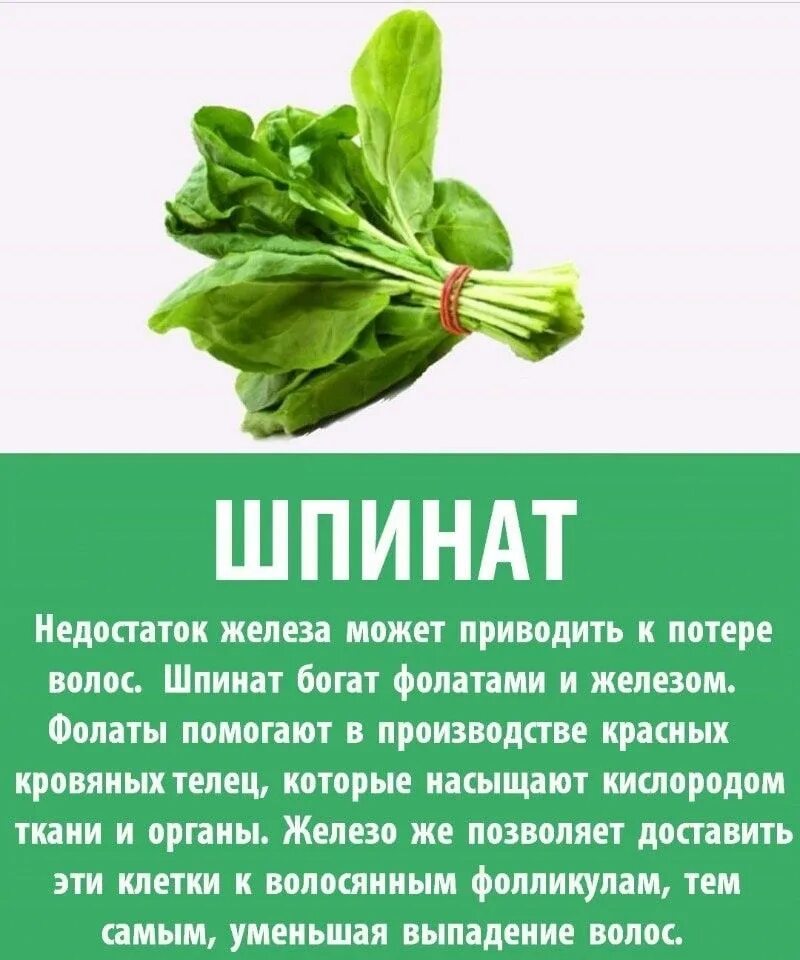 Можно ли есть сырой шпинат. Шпинат. Шпинат полезные. Шпинат польза. Чем полезен шпинат.