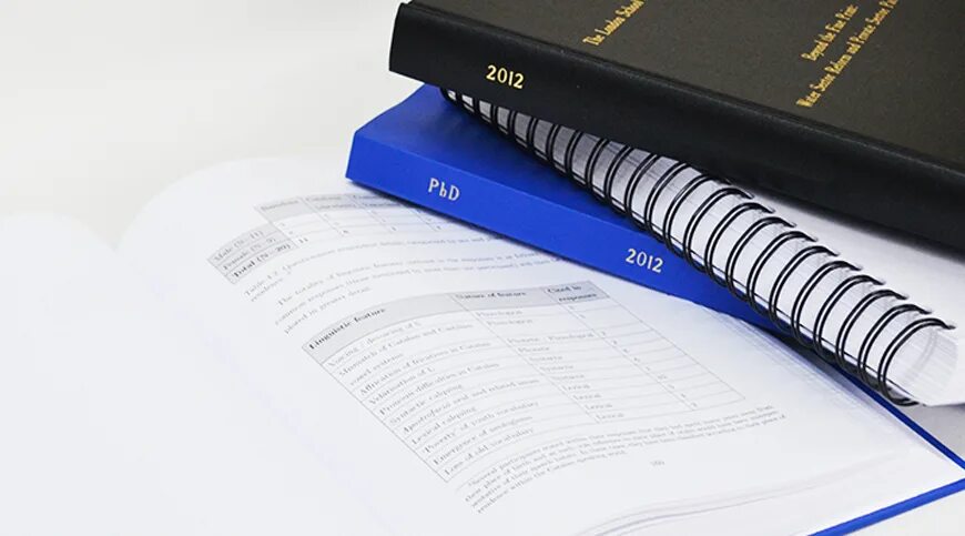 Master dissertation