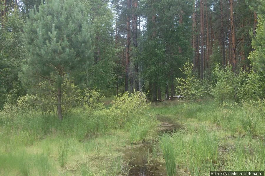 Полково. Деревня полково. полково рязань. новое полково рязань. деревня полково рязанская область фото.