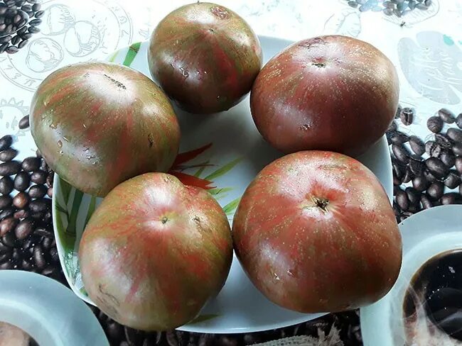 томат кровавая луна отзывы. сорт "кровавая луна". томат кровавая луна мязина. томат кровавая луна фото. томат кровавая луна отзывы.