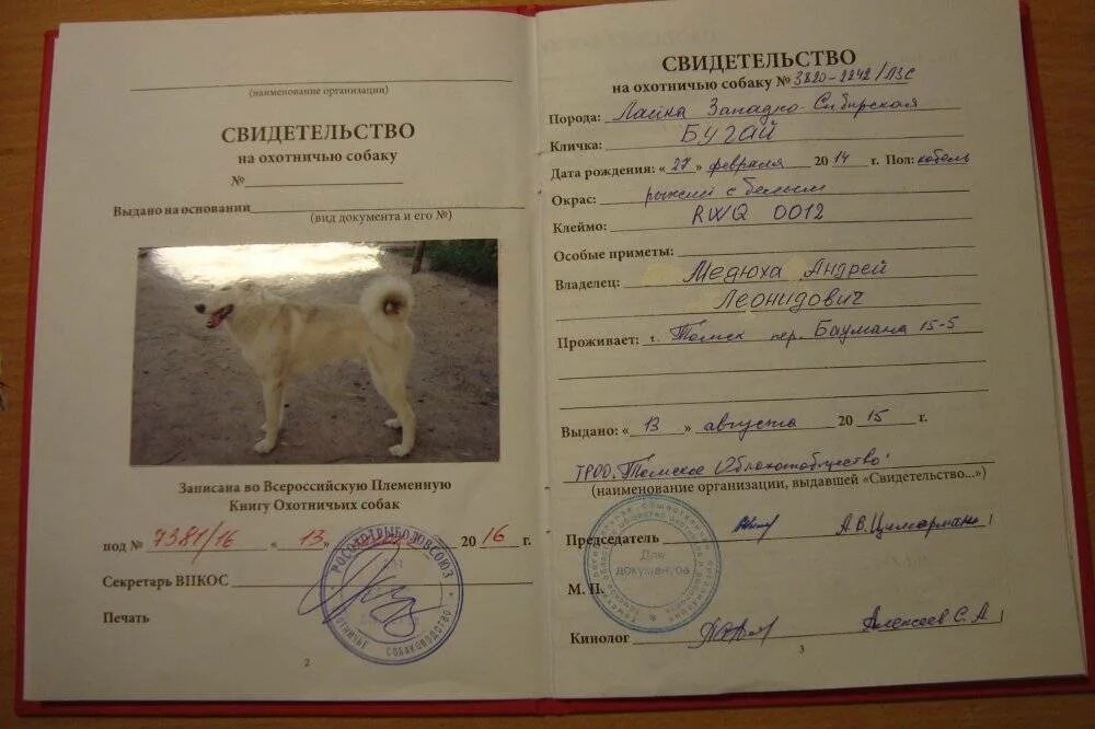 Собачье отчество