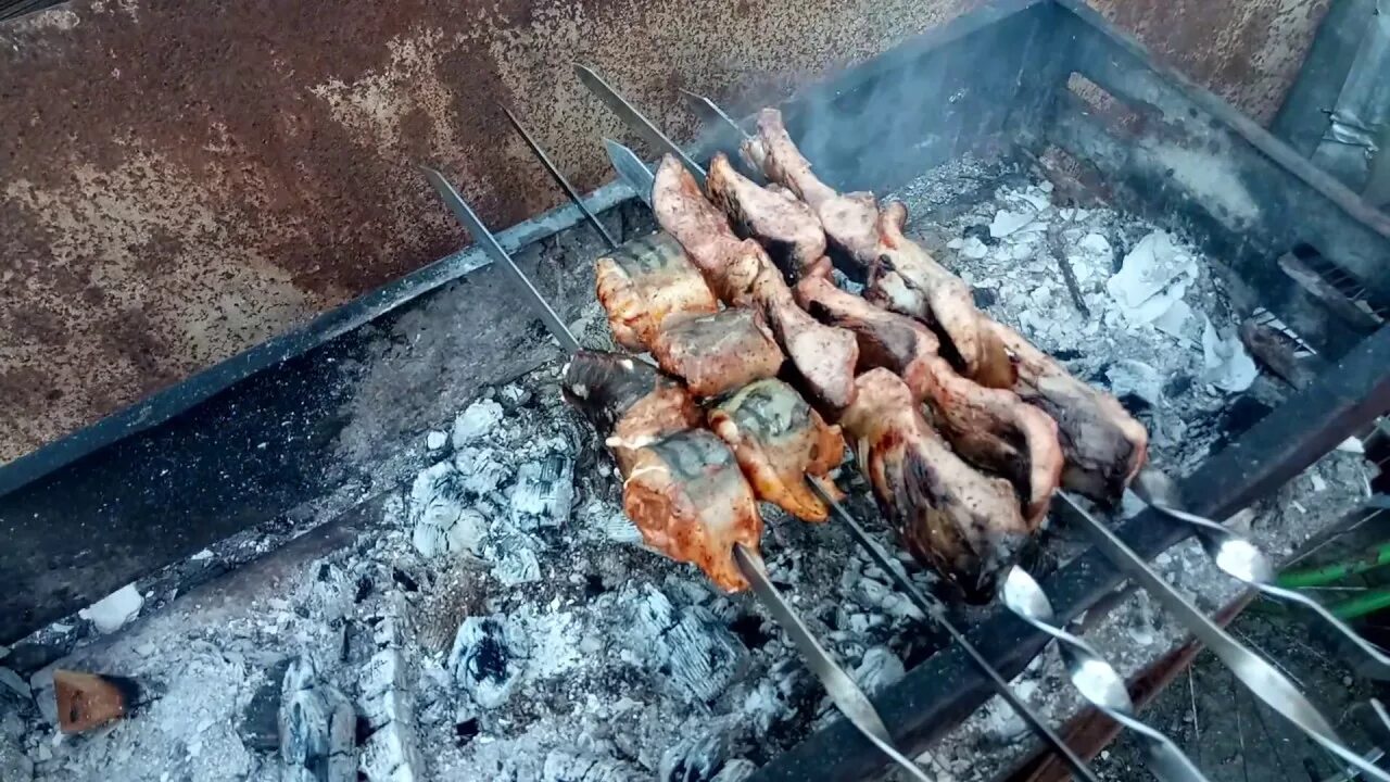 Шашлык из скумбрии. Зеркальный карп на мангале. Рыба на шампурах на мангале. Рыба сазан шашлык. Шашлык из сазана.