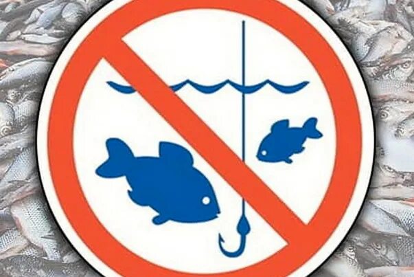 Рыбалка запрещена. Знак запрещения рыбачить для туалет. Рыбалка в туалете запрещена. Запрет на ловлю птиц. Запрет на рыбалку в казахстане 2024