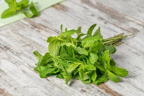 Paper mint