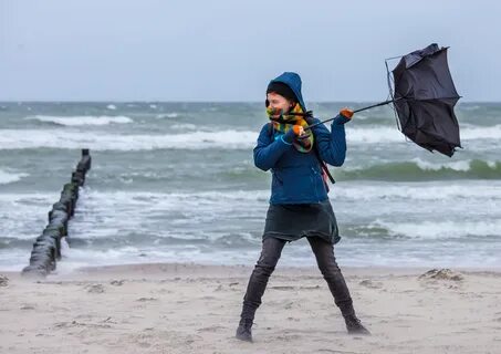 Videos weather bags