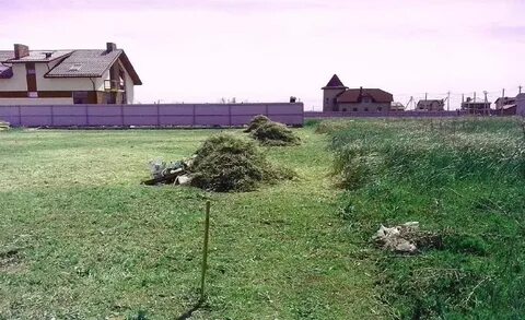 Территория скошена