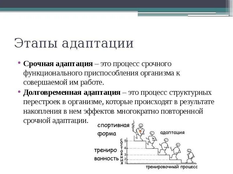 Состояние организма при котором замедляется жизненные процессы