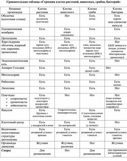 Сравнение растения и грибами