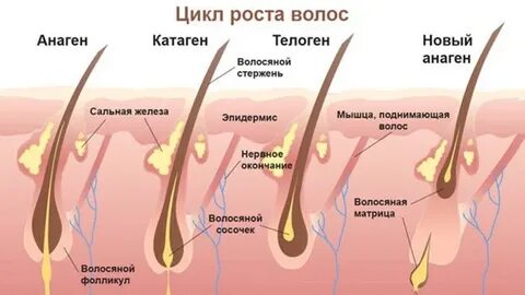 Волос рост условие