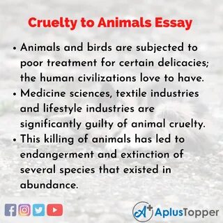 Essay On Animal Abuse - Ethics Case Study Paper Example.