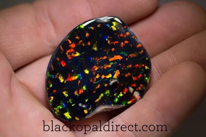 True harlequin pattern opal Opale, Pierre précieuse, Pierre