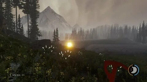 Forest 1 6
