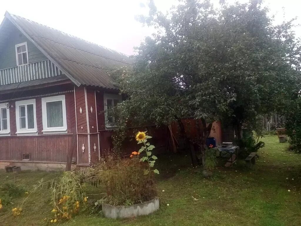 Новгородская область чудовский район деревня дерева фото Братская могила. Новгородская обл. Чудовский район. д. Оскуй.