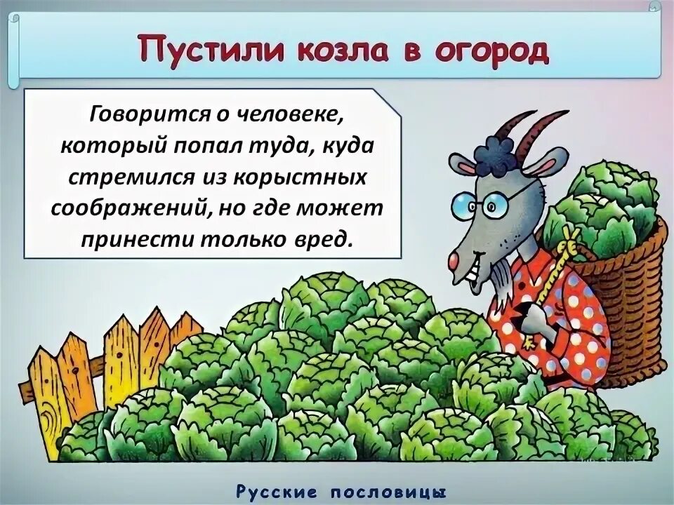 Пусти козла в огород пословица. Пусти козла в огород пословица. Пустить козла в огород. Поговорка пусти козла в огород. Козел в огороде фразеологизм.