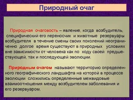 Типы природных очагов